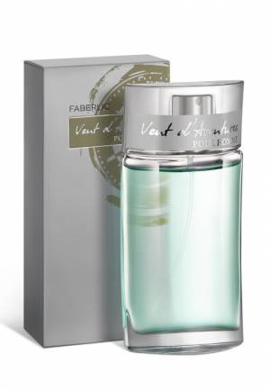 Туалетная вода для мужчин Vent d' Aventures, 50 мл