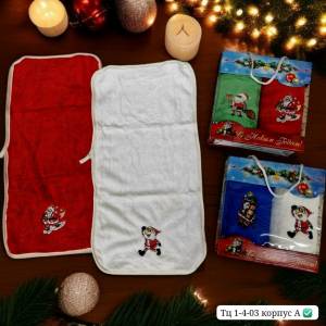 Набор из 2-х быстросохнущих полотенец 25*50 см в коробке