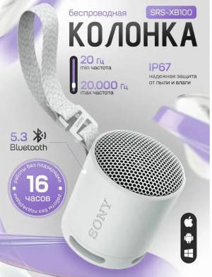 Портативная Bluetooth колонка SRS-XB100 Серый