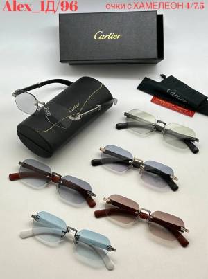 Очки унисекс Хамелеоны