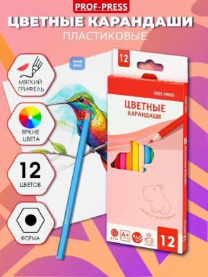  Карандаши цветные пластиковые 12шт/цв